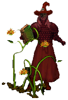 Druide